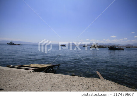 Harbour at Coquimbo Chile 117459607