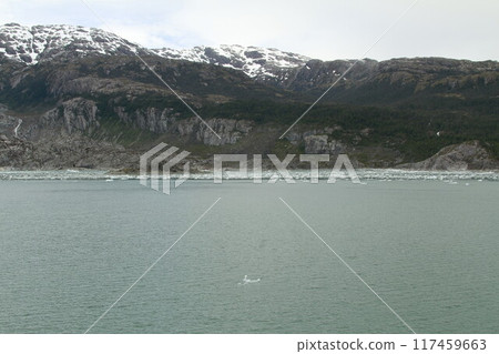 Glaciers in patagonia from ferry from Puerto Natales 117459663
