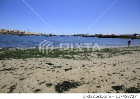 Beaches and harbour near Bahia Inglesia, Caldera, Chile Beaches and harbour near Bahia Inglesia, Caldera, Chile 117459727