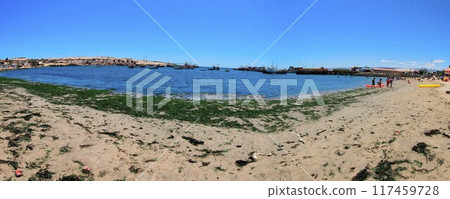 Beaches and harbour near Bahia Inglesia, Caldera, Chile Beaches and harbour near Bahia Inglesia, Caldera, Chile 117459728
