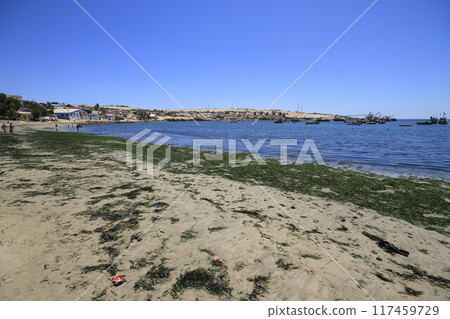 Beaches and harbour near Bahia Inglesia, Caldera, Chile 117459729