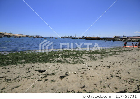 Beaches and harbour near Bahia Inglesia, Caldera, Chile Beaches and harbour near Bahia Inglesia, Caldera, Chile 117459731