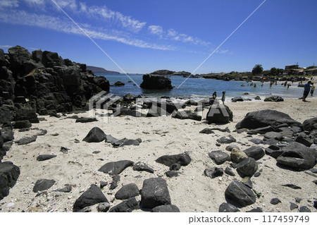 Beaches and harbour near Bahia Inglesia, Caldera, Chile 117459749