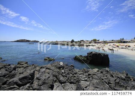 Beaches and harbour near Bahia Inglesia, Caldera, Chile Beaches and harbour near Bahia Inglesia, Caldera, Chile 117459774
