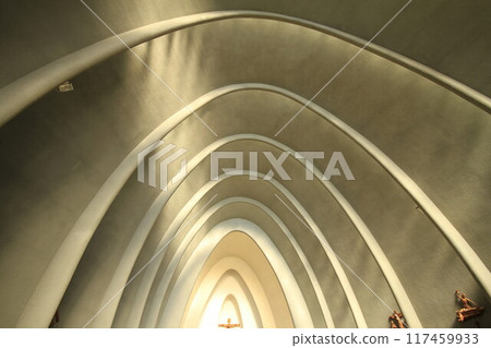 St. Charles Borromeo Cathedral, City of Chillan in Chile 117459933