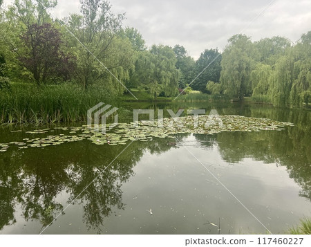 Landscape with a pond and a bridge over it in the countryside.Willow trees on the shore of the lake in the city park Landscape with a pond and a bridge over it in the countryside.Willow trees on the shore of the lake in the city park 117460227