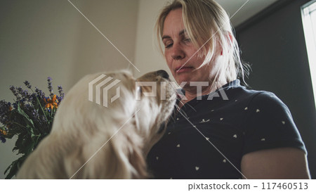 Adult Caucasian woman plays with cute golden retriever dog at home Adult Caucasian woman plays with cute golden retriever dog at home 117460513