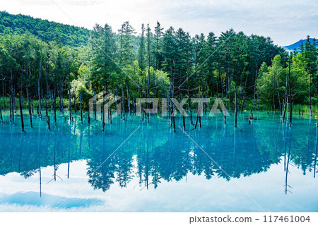 Blue pond 117461004