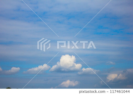 Rainy cloud texture. Sky only 117461044