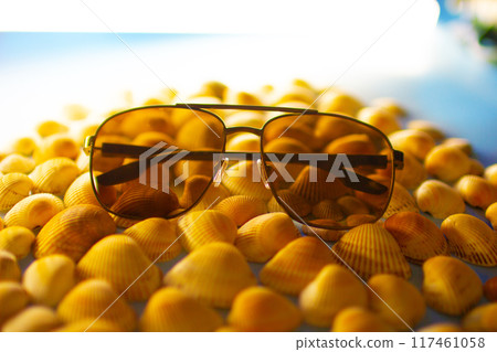 Sunglasses lie on orange seashells 117461058