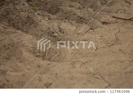 Sand Texture of the road Sand Texture of the road 117461096