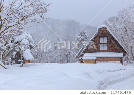 Snow-covered World Heritage Site in winter: Shirakawa-mura (Shirakawa-go), Gifu Prefecture Snow-covered World Heritage Site in winter: Shirakawa-mura (Shirakawa-go), Gifu Prefecture 117461479