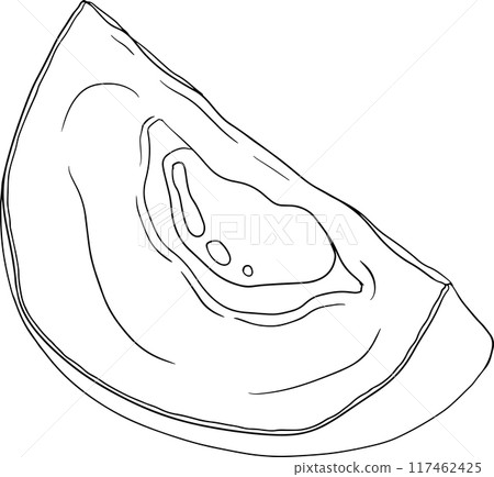 Chiku elements. Sapodilla naseberry pouteria line fruits. Chiku elements. Sapodilla naseberry pouteria line fruits. 117462425