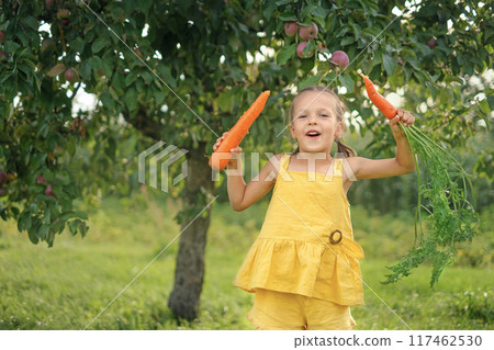 A funny laughing child in the garden shows off big fresh carrots grown on farm A funny laughing child in the garden shows off big fresh carrots grown on farm 117462530