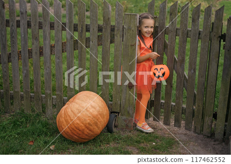 A funny adorable Girl dressed up in a Halloween pumpkin costume is standing by the fence 117462552