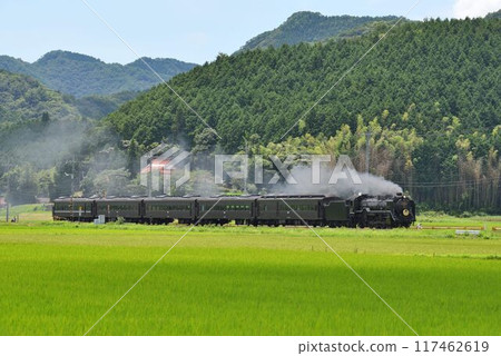 The SL Yamaguchi runs smoothly through the countryside of Ato Tokusa 117462619