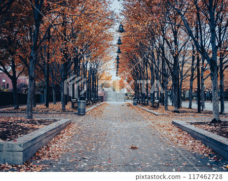 Autumn in New York: Lower Manhattan 117462728
