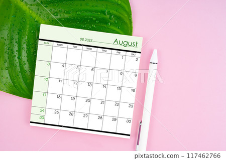 August 2025 calendar page and fresh green leaf with water drops on pink background. August 2025 calendar page and fresh green leaf with water drops on pink background. 117462766