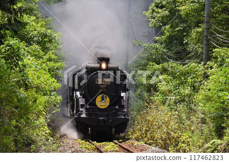 SL Yamaguchi passes through the Tashiro Tunnel and descends to Sasame SL Yamaguchi passes through the Tashiro Tunnel and descends to Sasame 117462823