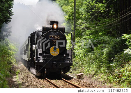SL Yamaguchi passes through the Tashiro Tunnel and descends to Sasame SL Yamaguchi passes through the Tashiro Tunnel and descends to Sasame 117462825