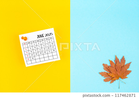 June 2025 calendar and autumn foliage on a yellow and blue. Empty space provided for text or advertising purposes. June 2025 calendar and autumn foliage on a yellow and blue. Empty space provided for text or advertising purposes. 117462871