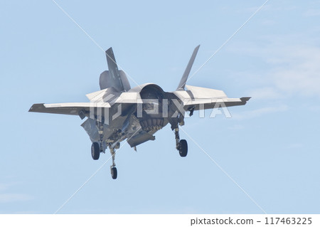 A U.S. Marine Corps F-35B hovering at MCAS Iwakuni A U.S. Marine Corps F-35B hovering at MCAS Iwakuni 117463225