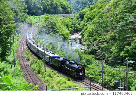 Red Plate C61 SL Gunma Minakami Train Speeding through the scenic Suwa Gorge 117463462