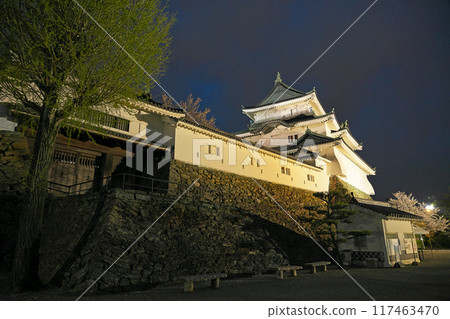 [和歌山城(夜間)] 和歌山縣和歌山市 117463470