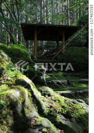 Moss and gazebo Moss and gazebo 117463595