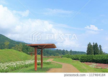 Alps Azumino National Government Park in summer 117464184