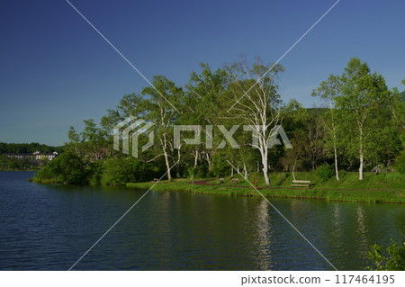 Lake Shirakaba landscape 117464195