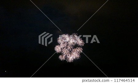 開花在夏夜天空的煙花 117464514