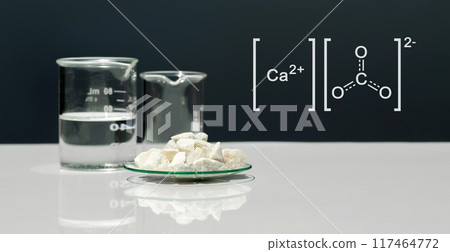 Calcium carbonate chip in chemical watch glass with molecular structure on white laboratory table. Side view Calcium carbonate chip in chemical watch glass with molecular structure on white laboratory table. Side view 117464772