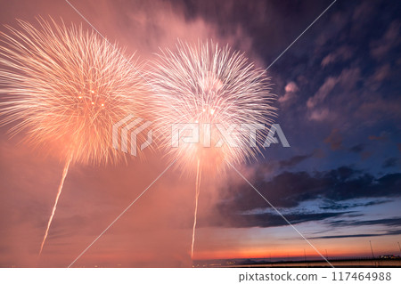 《Niigata Prefecture》Photographed at the Nagaoka Fireworks Festival venue 《Niigata Prefecture》Photographed at the Nagaoka Fireworks Festival venue 117464988