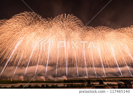 [新潟縣]拍攝於長岡花火大會會場 117465140