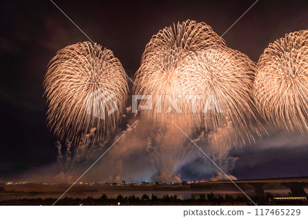《Niigata Prefecture》Photographed at the Nagaoka Fireworks Festival venue 117465229