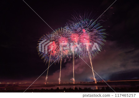 [新潟縣]拍攝於長岡花火大會會場 117465257
