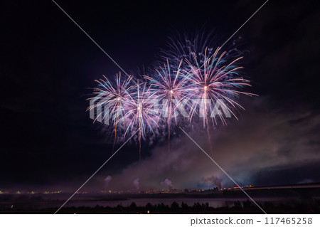 [新潟縣]拍攝於長岡花火大會會場 117465258