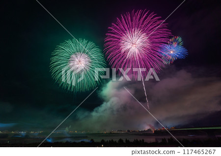 [新潟縣]拍攝於長岡花火大會會場 117465267
