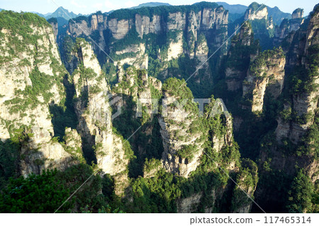 Tianzi Shan Mountain column karst at Wulingyuan Scenic Area, Zhangjiajie National Forest Park, Hunan, China Tianzi Shan Mountain column karst at Wulingyuan Scenic Area, Zhangjiajie National Forest Park, Hunan, China 117465314
