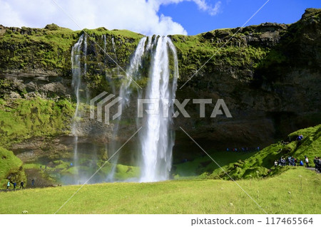 Seljalandsfoss waterfall in Iceland in summer 117465564