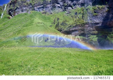 Seljalandsfoss waterfall and rainbow in Iceland in summer Seljalandsfoss waterfall and rainbow in Iceland in summer 117465572