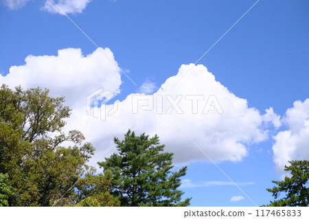 Summer blue sky and white clouds 117465833