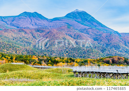 秋天的北海道知床五湖~從高架木棧道眺望知床連峰~ 秋天的北海道知床五湖~從高架木棧道眺望知床連峰~ 117465885