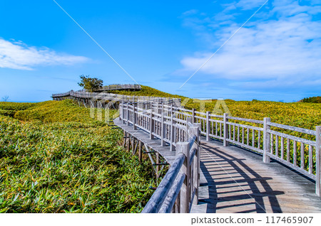 北海道秋天的知床五湖~木高架走道~ 北海道秋天的知床五湖~木高架走道~ 117465907