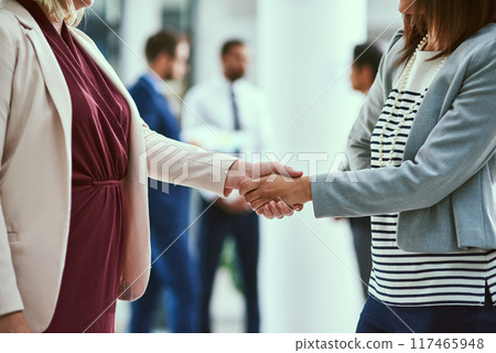 Team, business people and shaking hands for welcome, introduction or offer in meeting in office. Handshake, success and deal for collaboration, agreement or thank you for b2b partnership opportunity Team, business people and shaking hands for welcome, introduction or offer in meeting in office. Handshake, success and deal for collaboration, agreement or thank you for b2b partnership opportunity 117465948
