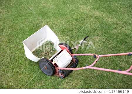 放置在草坪上的割草機的圖像 117466149