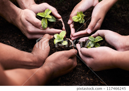 Plants, hands and soil for team with nature, earth wellness and gardening hope for future in agriculture farming. Ecology, collaboration and people or environmental health, community and outreach Plants, hands and soil for team with nature, earth wellness and gardening hope for future in agriculture farming. Ecology, collaboration and people or environmental health, community and outreach 117466245