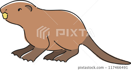 Hand drawn illustration of a nutria 117466491