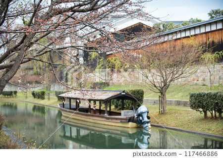 伏見櫻花風景 2023 伏見櫻花風景 2023 117466886